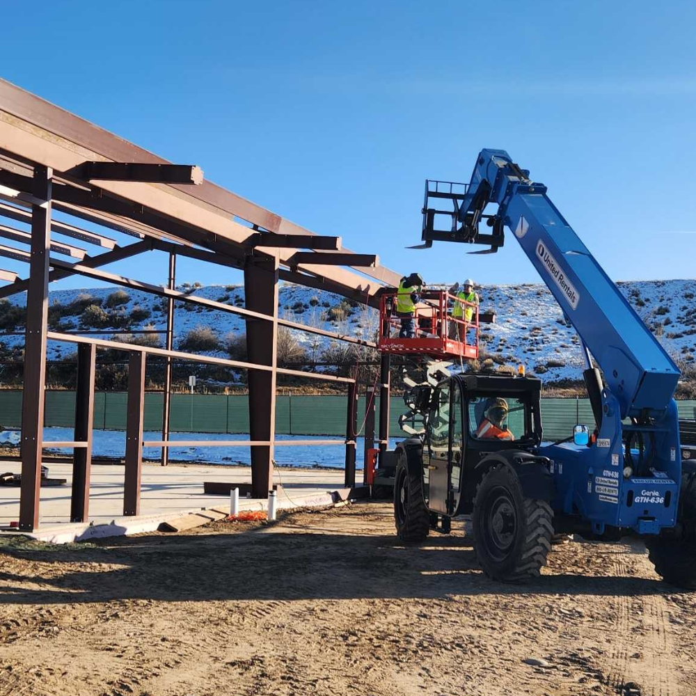 Untitled design (10)