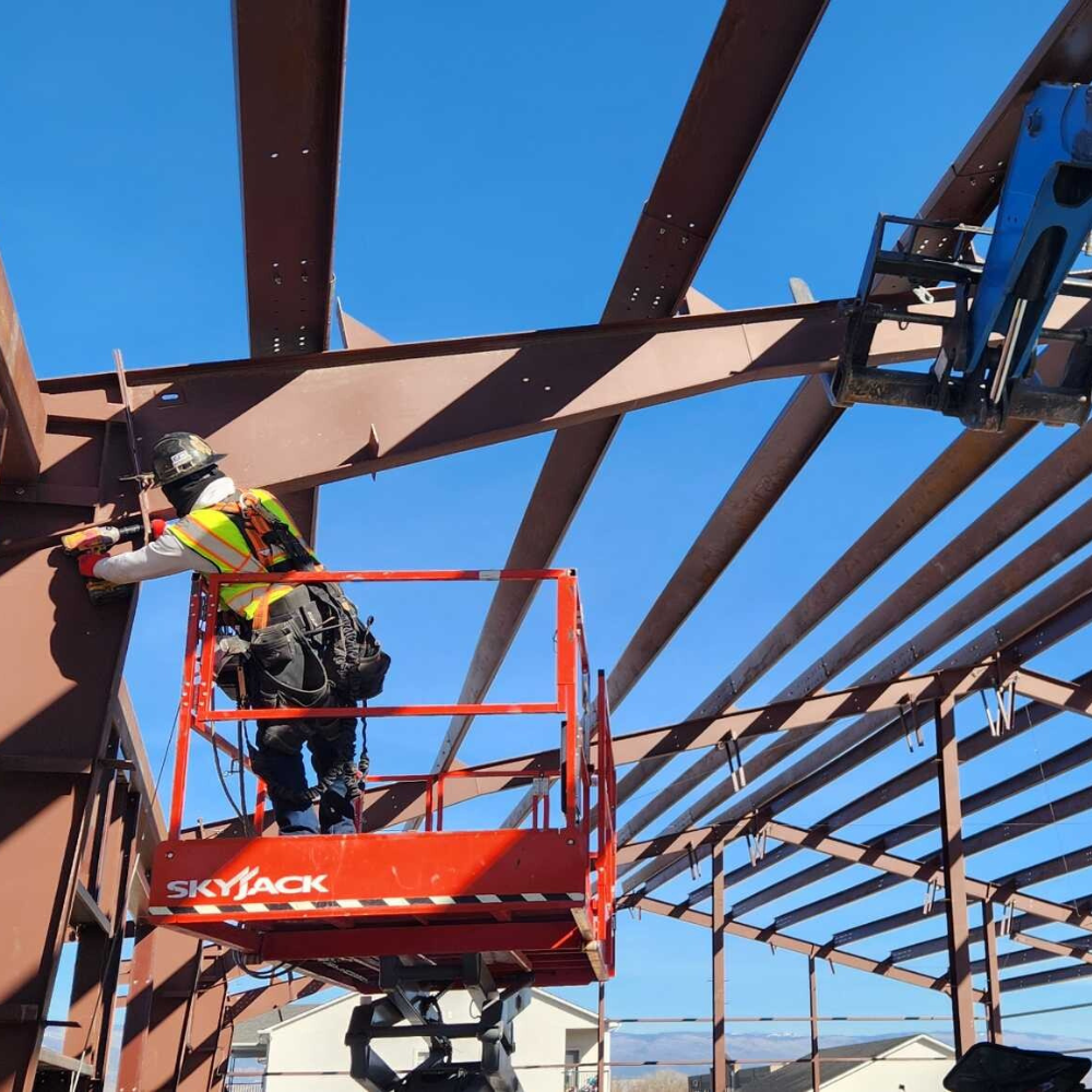 Untitled design (12)